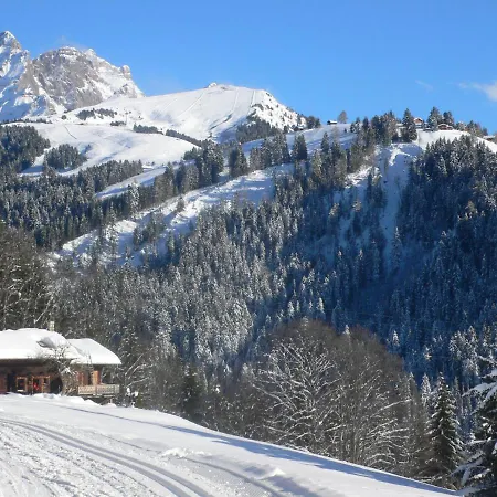 Le Bristol A46 By Interhome * Villars-sur-Ollon