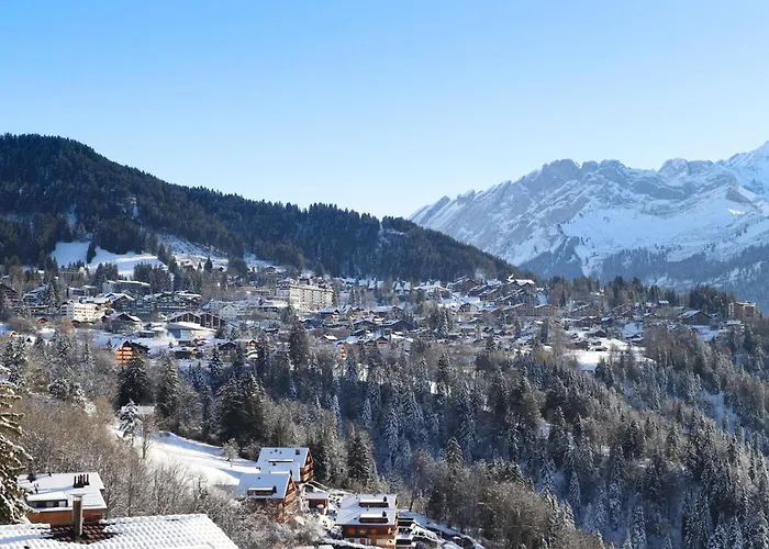 Le Bristol A46 By Interhome * Villars-sur-Ollon