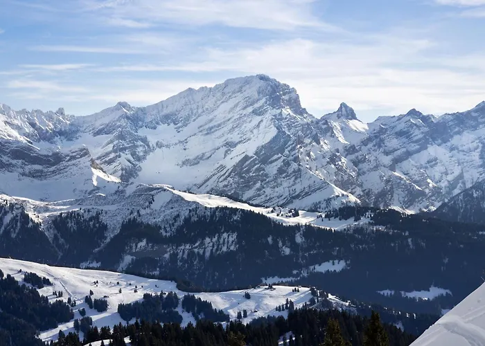 Le Bristol A46 By Interhome Appartamento