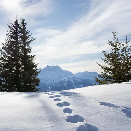 Le Bristol A46 By Interhome Daire Villars-sur-Ollon