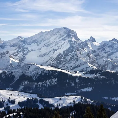 Le Bristol A46 By Interhome Daire