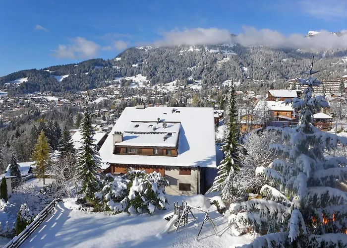 Le Bristol A46 By Interhome