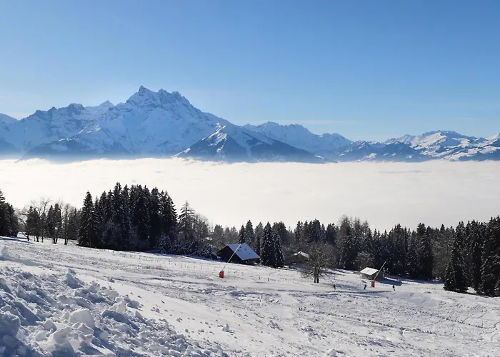 Le Bristol A46 By Interhome