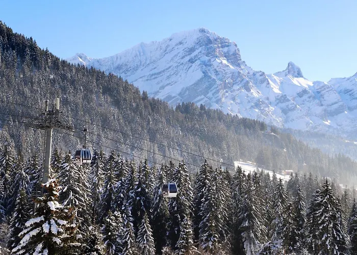 Le Bristol A46 By Interhome *