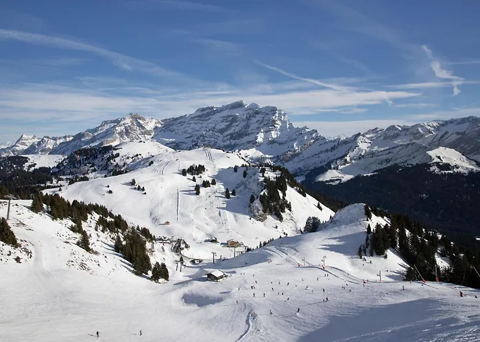 Le Bristol A46 By Interhome *