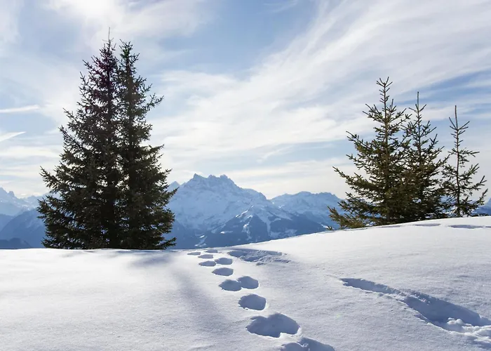 Le Bristol A46 By Interhome Daire Villars-sur-Ollon