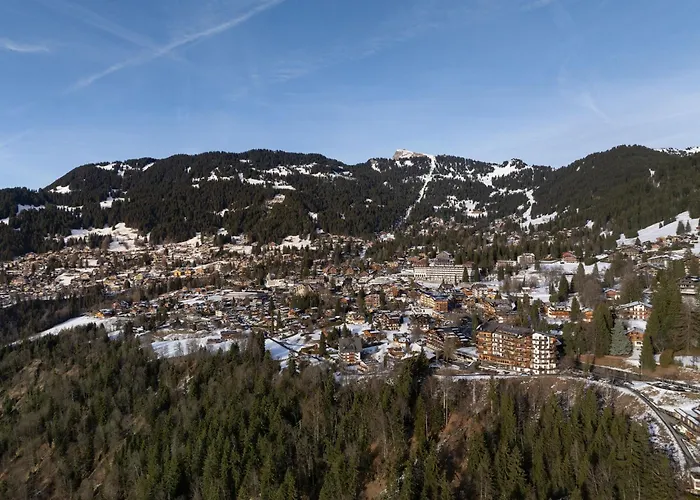 Daire Le Bristol A46 By Interhome Villars-sur-Ollon